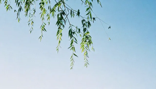 医药网站建设如何兼顾性能与适用条件